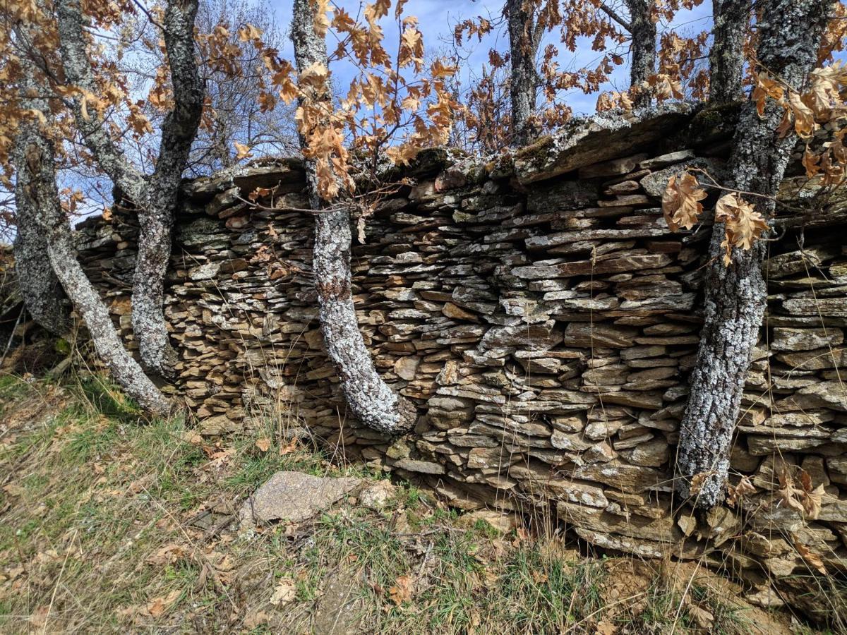 Casa Rural Fuente Del Arca Montejo Montejo de la Sierra Eksteriør bilde
